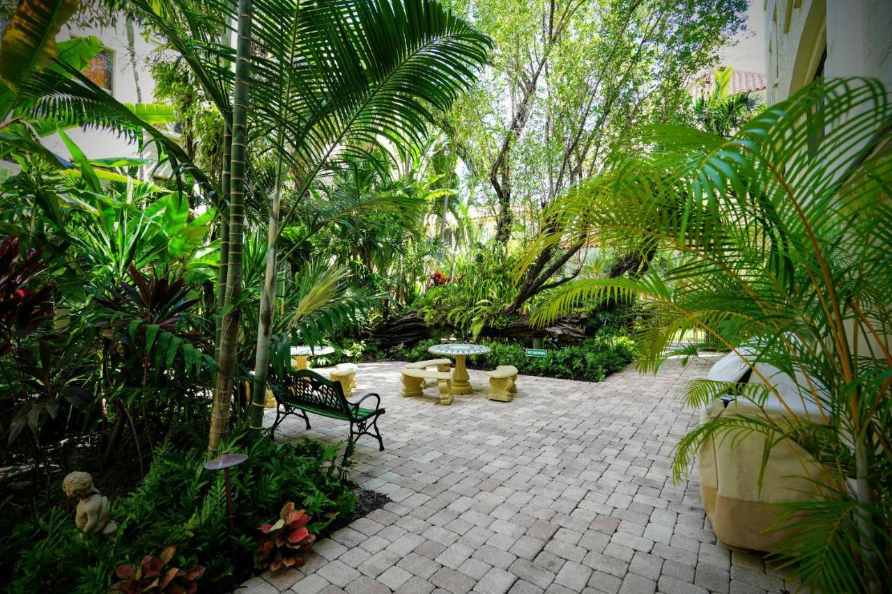 Renovated Studio In The Heart Of Palm Beach - Free Parking, Security Box Kültér fotó